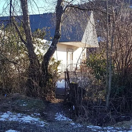 Duplex Avec Terrasse 4personnes Proche Du Mt Dore. *